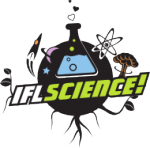 Drone video of whale sharks and mantas featured in IFL Science